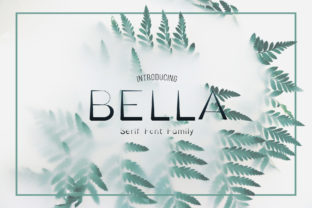 Bella Family Font Evaluation