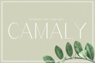 Camaly: The Modern Sans Serif That Elevates Purpose-Driven Design
