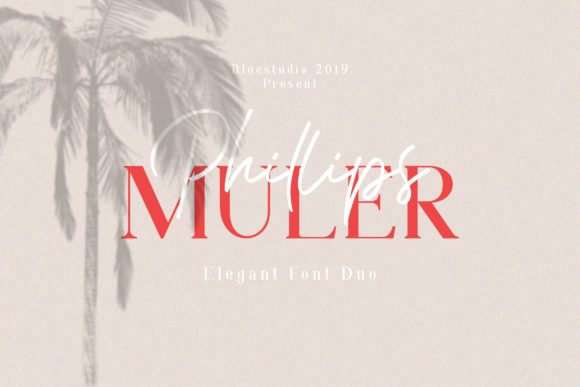Phillips Muler: A Thoughtful Evaluation for Designers